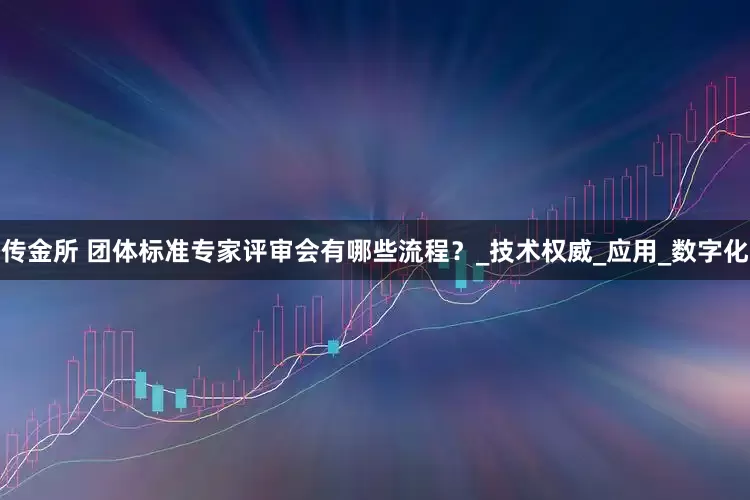 传金所 团体标准专家评审会有哪些流程？_技术权威_应用_数字化