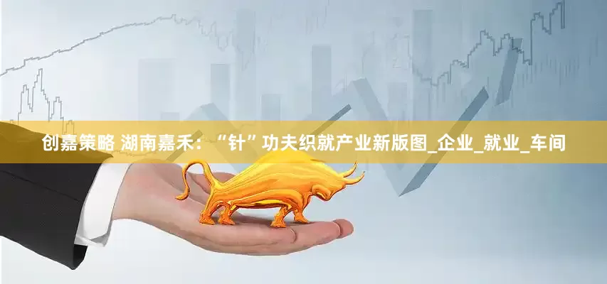 创嘉策略 湖南嘉禾：“针”功夫织就产业新版图_企业_就业_车间