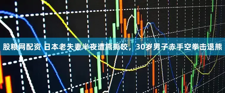 股粮网配资 日本老夫妻半夜遭熊撕咬，30岁男子赤手空拳击退熊