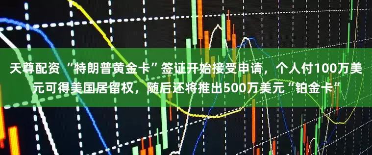 天尊配资 “特朗普黄金卡”签证开始接受申请,个人付100万美元可得美国居留权,随后还将推出500万美元“铂金卡”