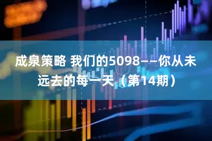 成泉策略 我们的5098——你从未远去的每一天（第14期）