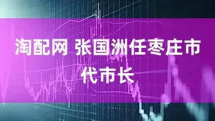 淘配网 张国洲任枣庄市代市长