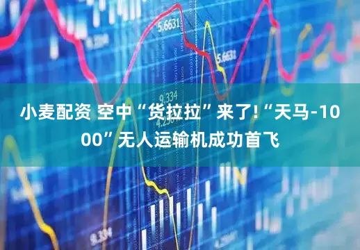 小麦配资 空中“货拉拉”来了!“天马-1000”无人运输机成功首飞